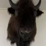 General Membership Meeting