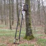 Work Detail - Tree Stands