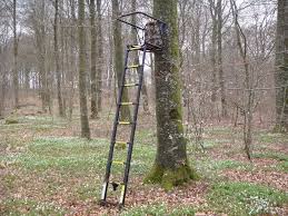 Work Detail - Tree Stands