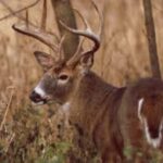 General membership meeting