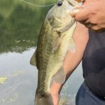 General Membership meeting