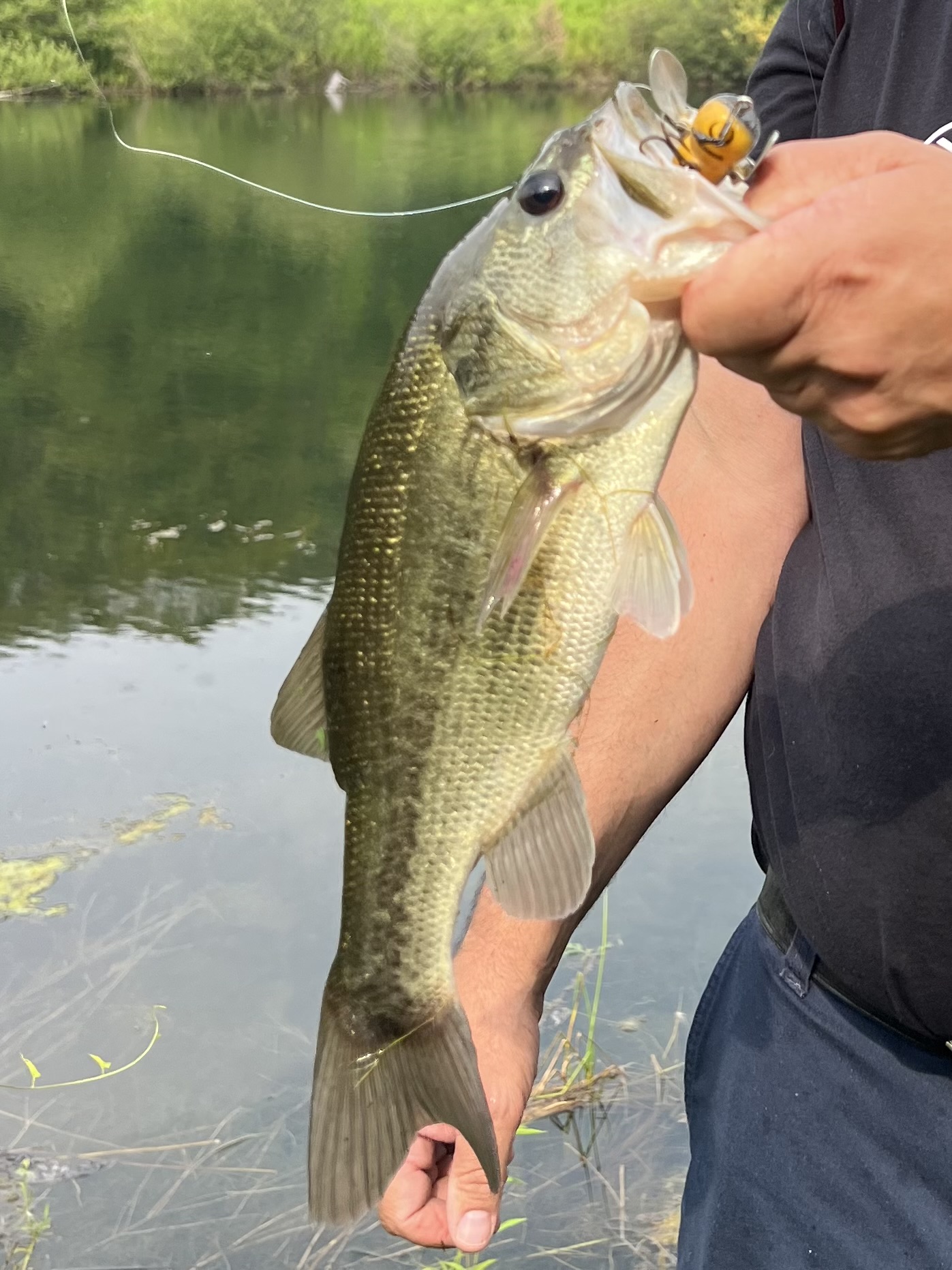 General Membership meeting