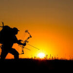 Open Day -  Early season Bow Deer Hunting