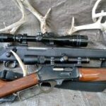 Open Day -  Deer Hunting